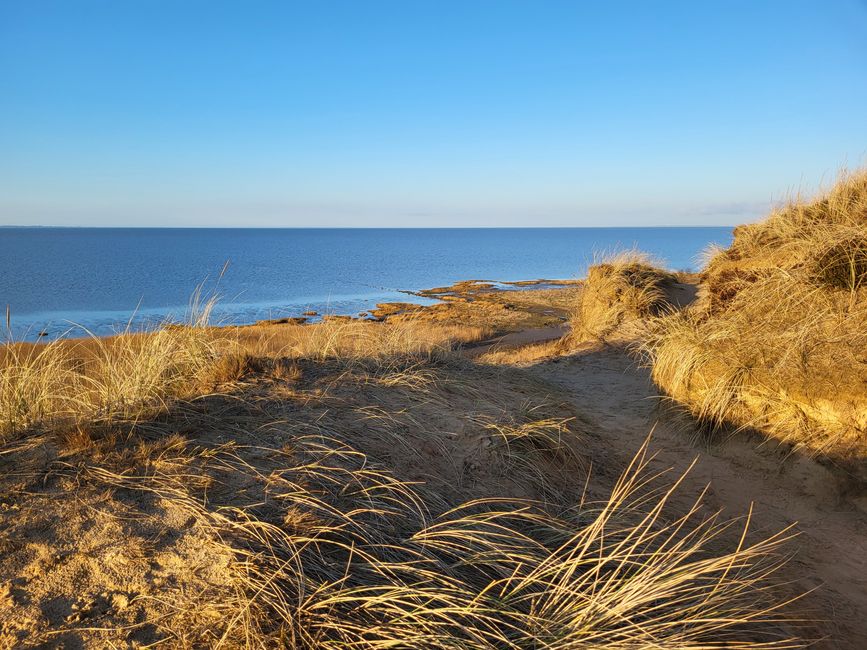 Morsum Cliff