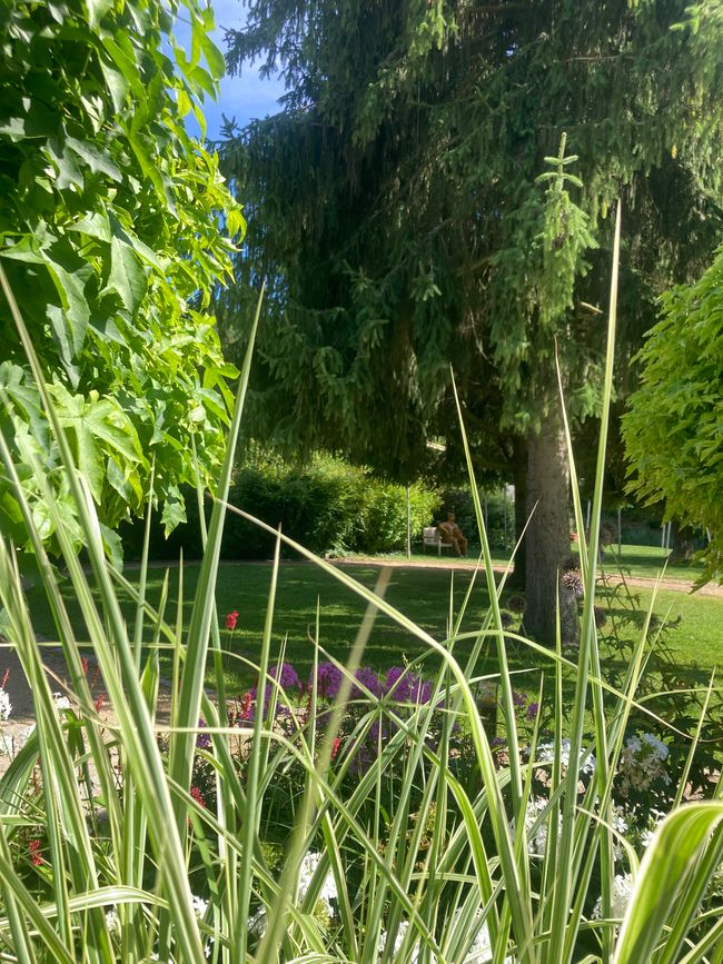 Per Rufbus durch die Ukraine