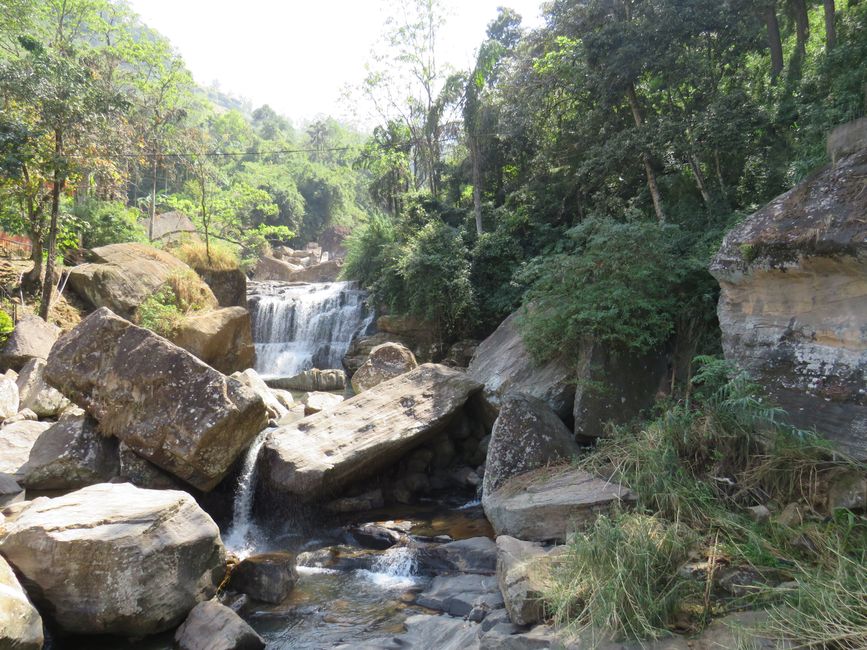 Nuwara Eliya - Dans les Highlands