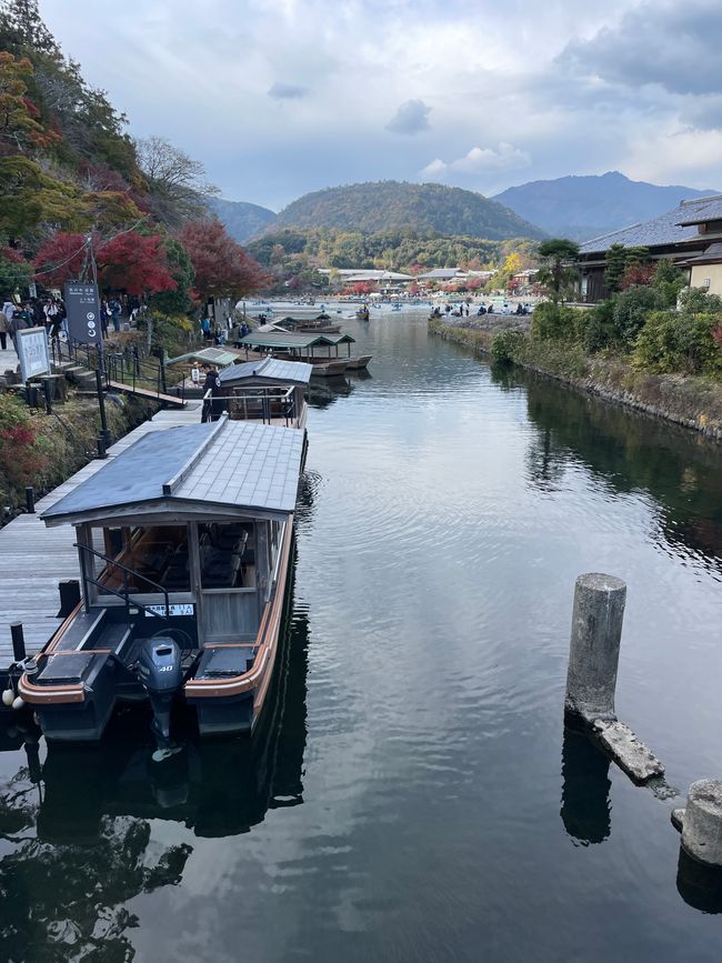 23.Kapitel: Arashiyama oder ein Tag von vorne bis hinten gelungen