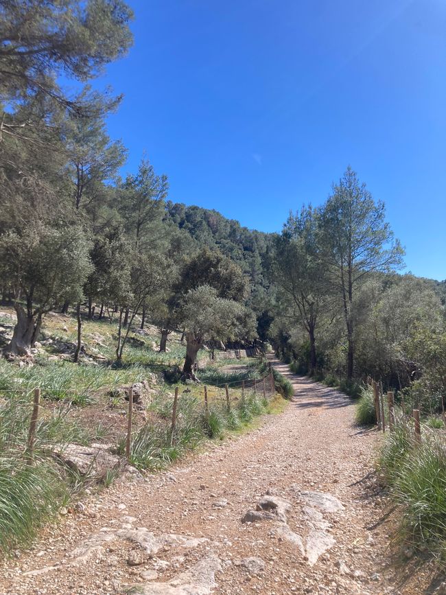 Wandern… von Santa Maria aus zum Tramuntana Gebirge…soweit meine Füße mich tragen