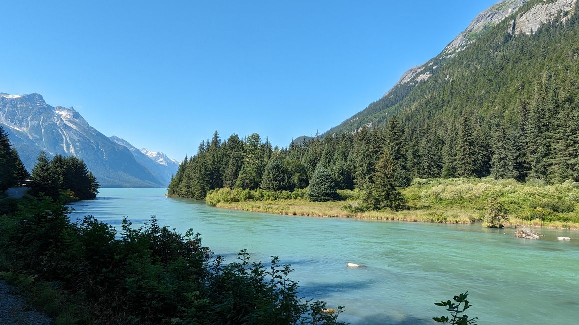 Day 26: Chilkoot River - a big bear show & photoshoot with 'Lulu'