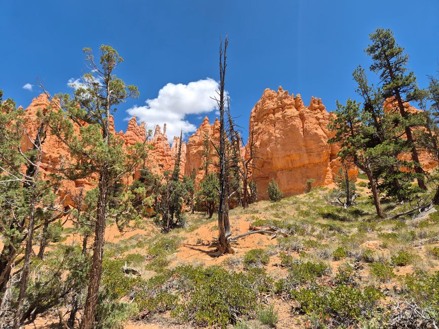 Bryce Canyon
