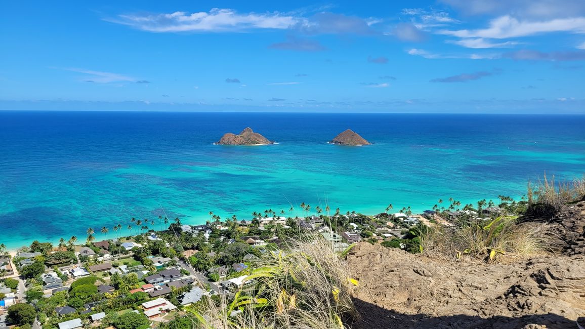 Caos en el alquiler de coches - Nunca más Hertz en Waikiki