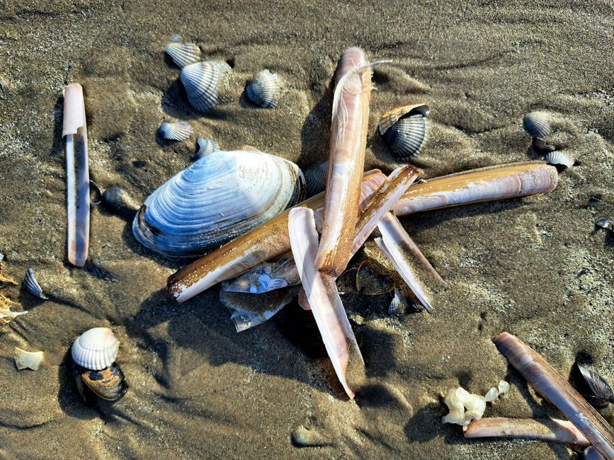 Strand-Gut-Kunst