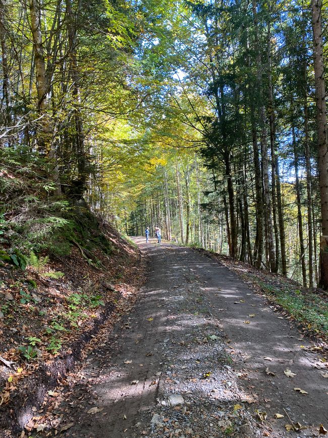 Der Weg war nicht so einfach, wie erhofft
