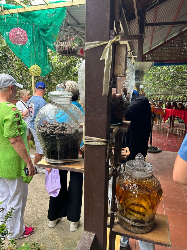 Mekong Delta (geführte Tour)