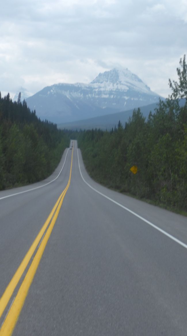 2025-06-19 sur l'Icefields Parkway de Jasper à Lake Louise, CA
