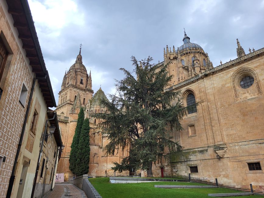 Kathedrale 