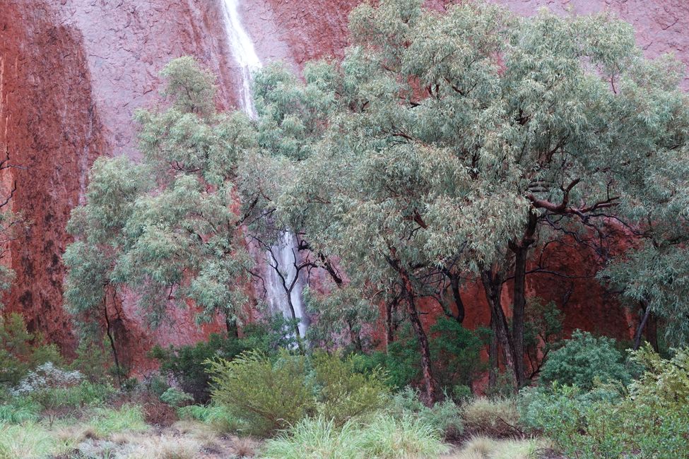 The Uluru ....