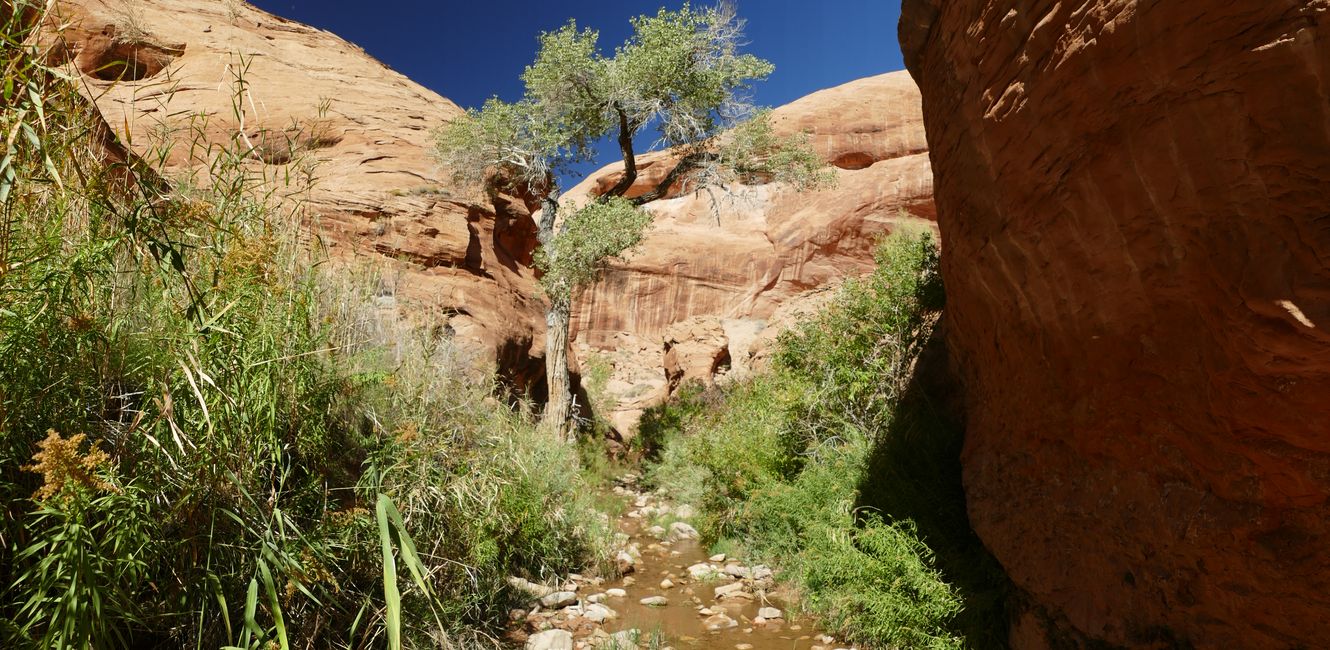 USA - Utah per fuggitivi ...