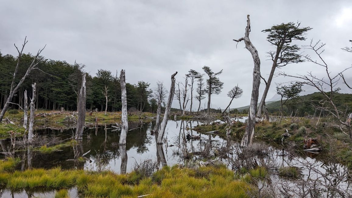 Laguna Esmeralda & Glarcia Martial (Tierra del fuego)
