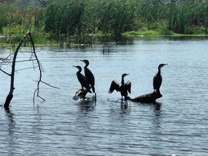Hawassa, Ocio