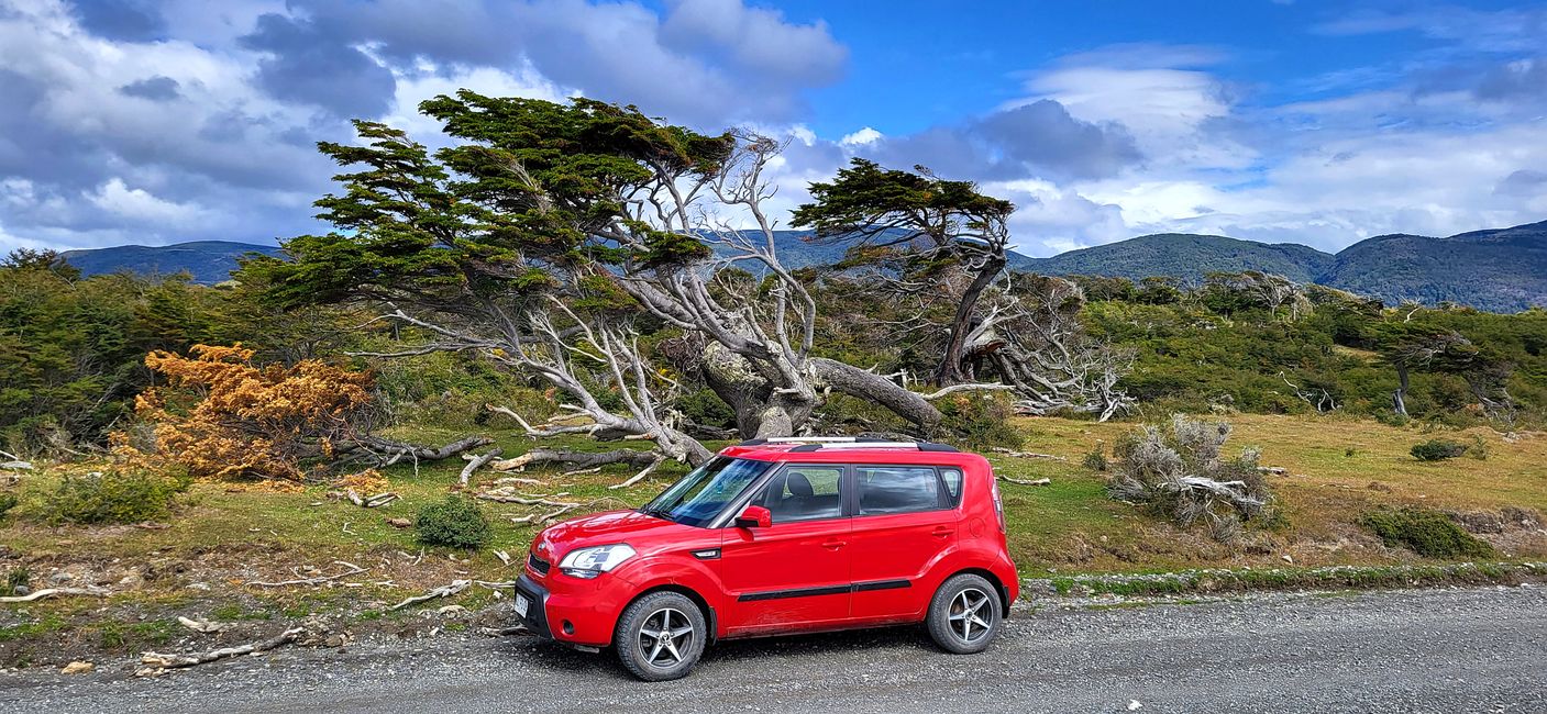 Puerto Williams, Insel Navarino