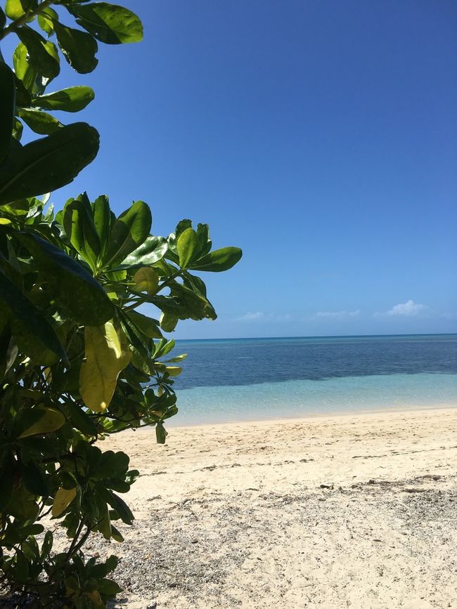 Green Island