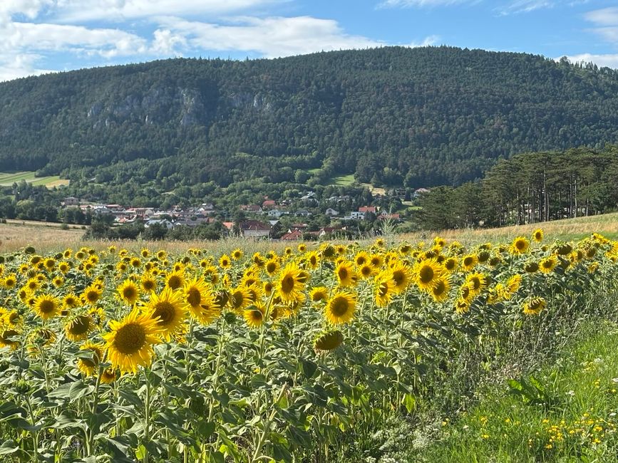 Von Graz nach Wien