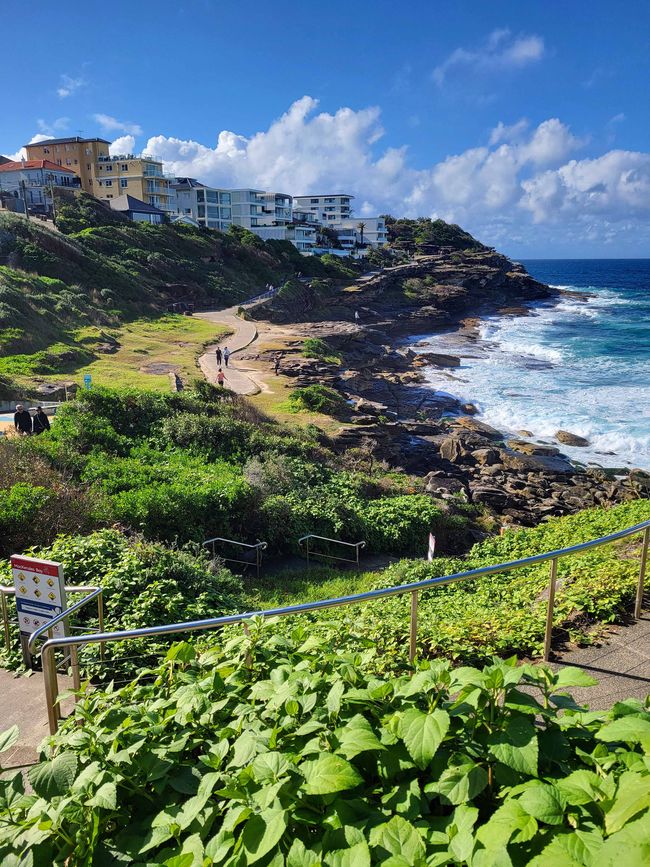 Syndney, Bondi und andere Beaches, 4. Tag