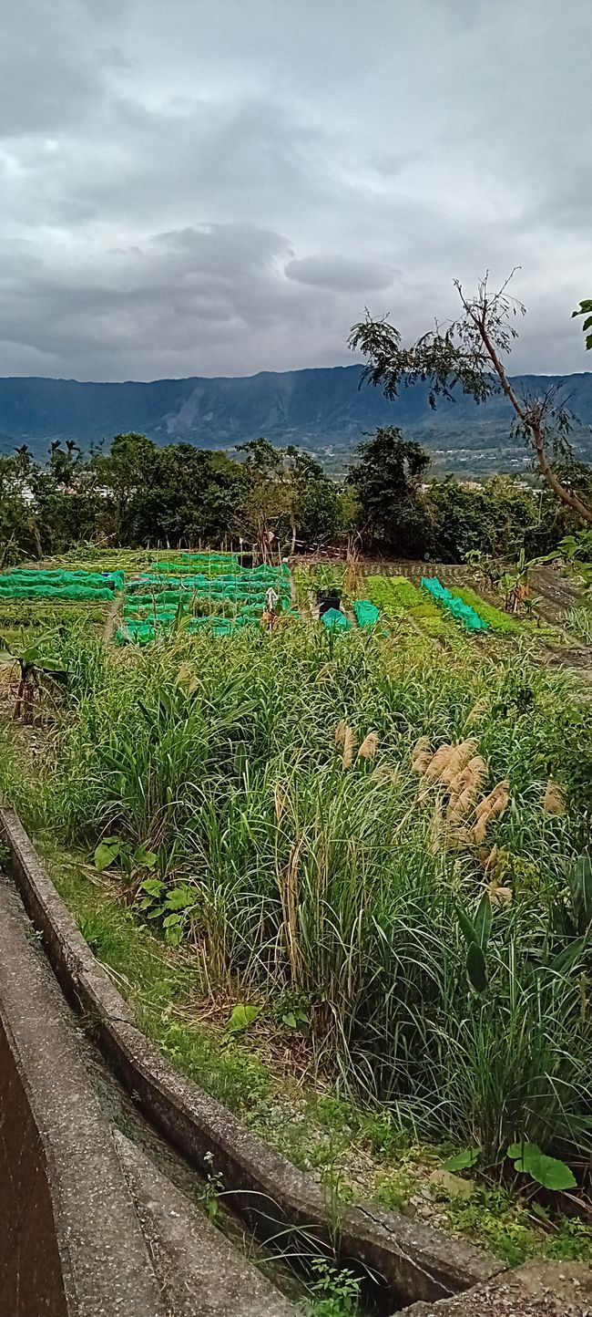 Luye y Taitung
