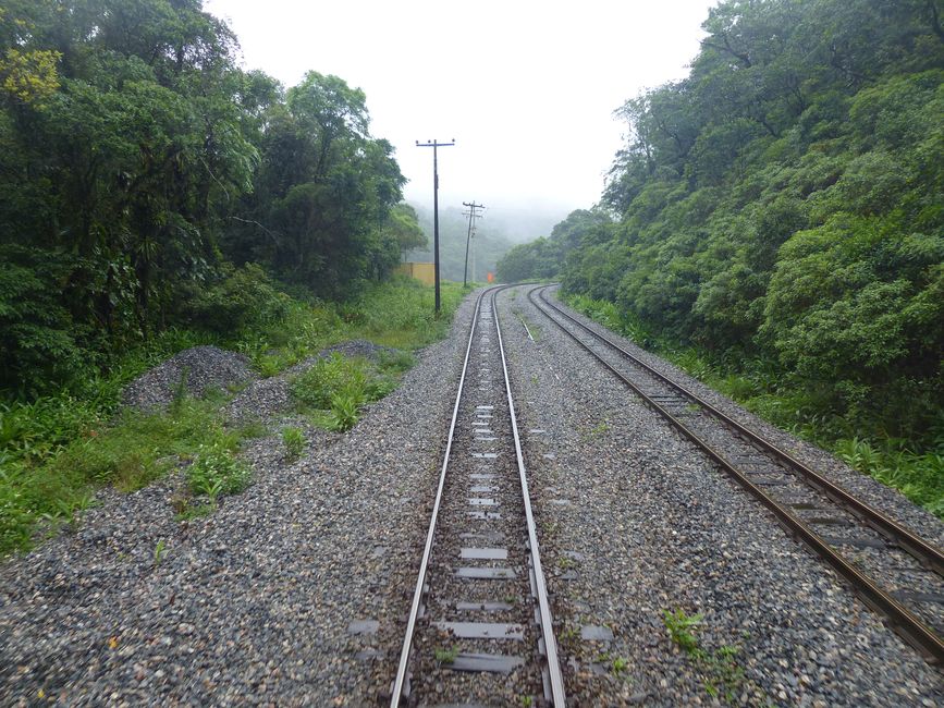 Brasil, Curitiba y viaje en tren por la selva tropical