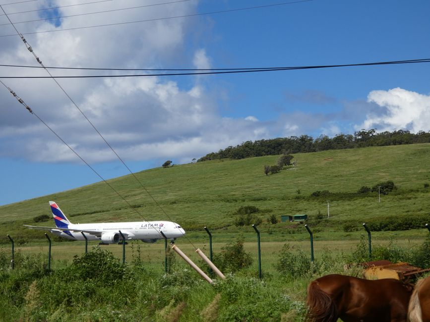 Isla de Pascua, día 1