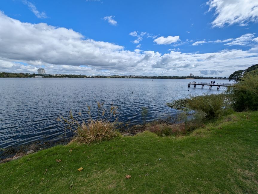 58. Etiqueta 3.3.25 Noticias de Auckland Nueva Zelanda