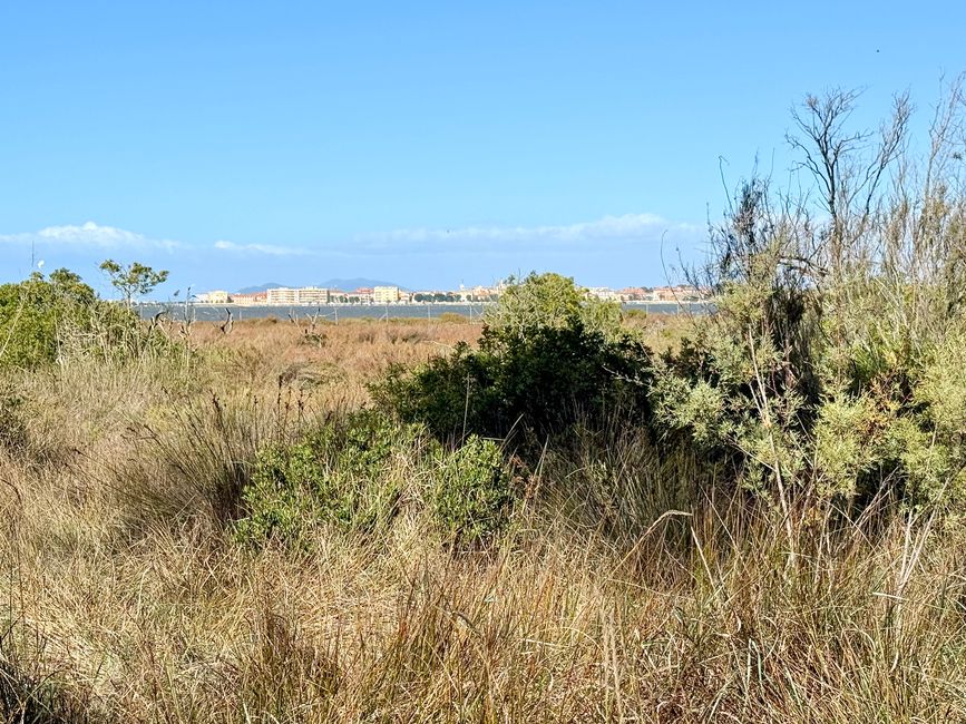 Ein breiter Streifen Natur schützt die Lagune. Dahinter ist Orbetello zu sehen.