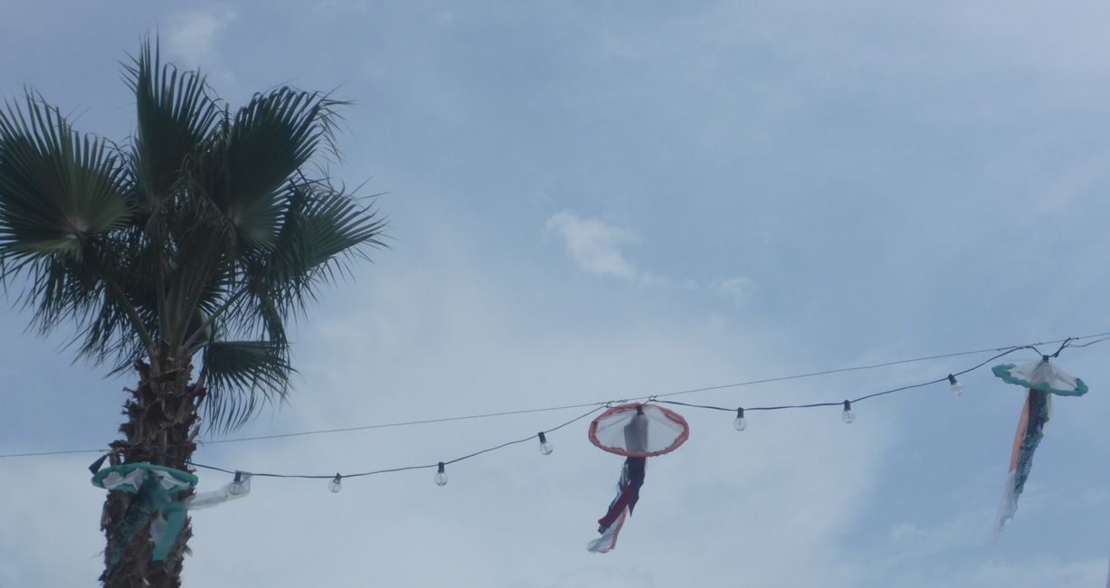 Fliegende Quallen