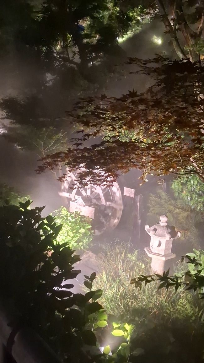 Beautiful Tokyo
