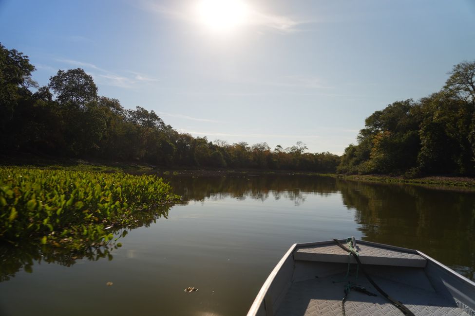 Excursión en barco en el Pantanal