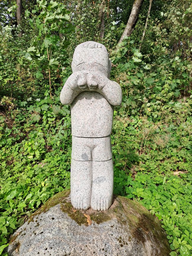 通过萨瓦尔基隙