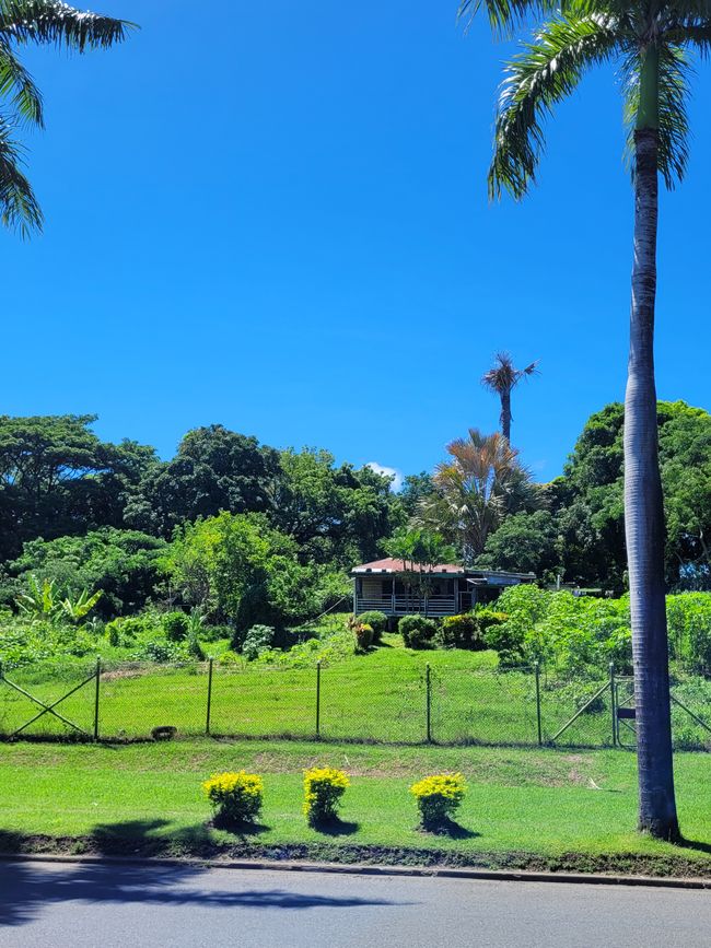 Giorno 74 di 175: Crociera intorno al mondo - Lautoka/Fiji