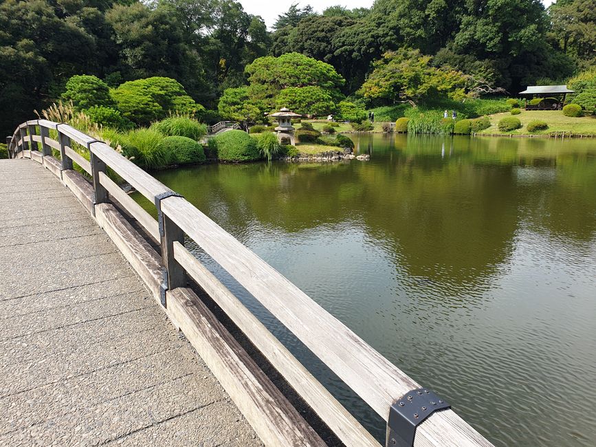 Parque en Shinjuku