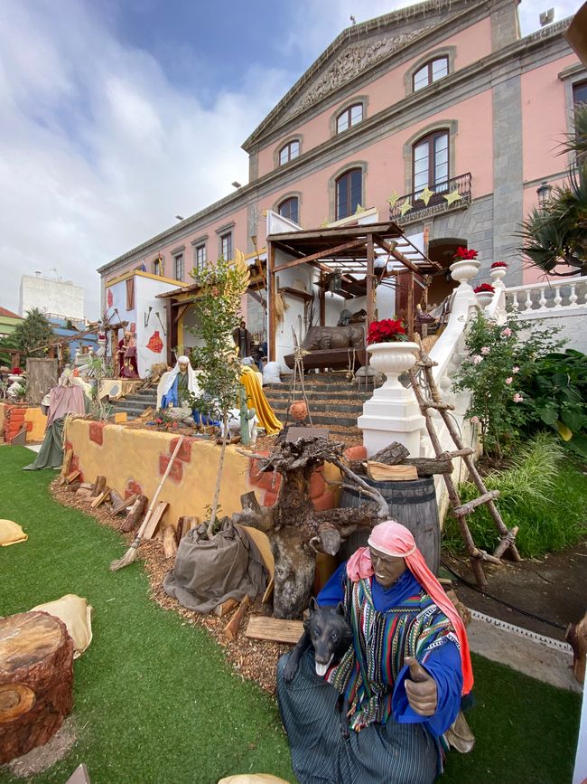 Ein Krippenspiel in XXL in Orotava