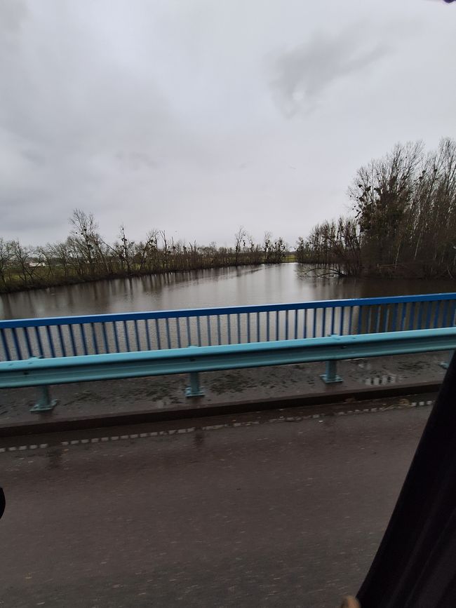 Saone 
