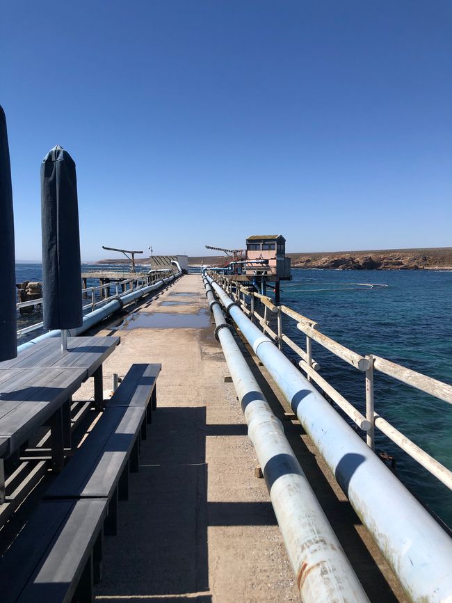 Auf der Jetty