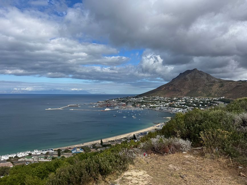 South Africa 🇿🇦 Week 4