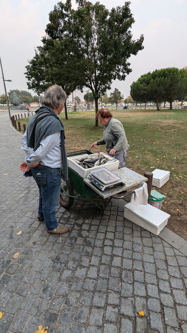 Vierte Etappe von Viana do Castelo bis nach Vila Praia de Ancora