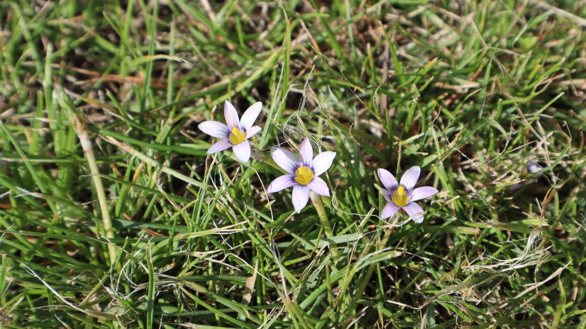 Der Frühling ist da!