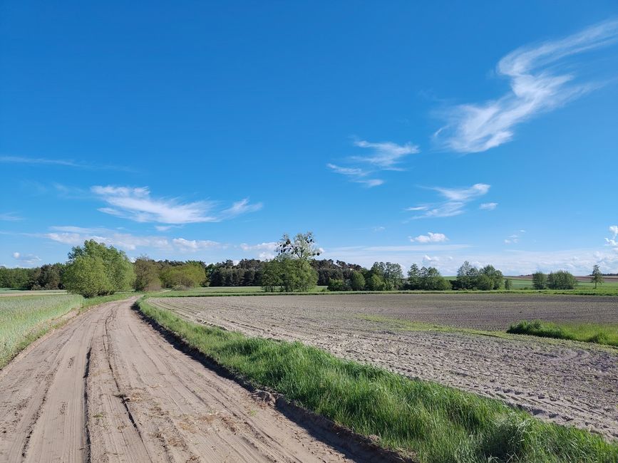 Links "Weg", rechts Feld