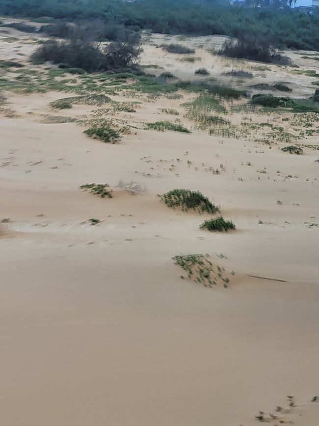 Jour 146 et 147/148 sur 175 : Croisière autour du monde : Walvis Bay/Namibie et deux jours en mer