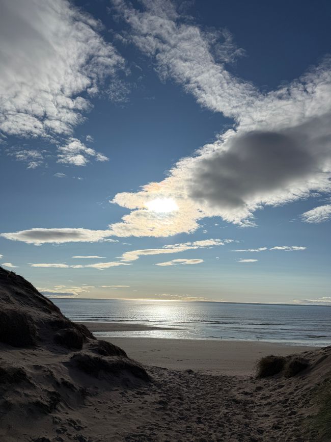 Tage in Montrose..