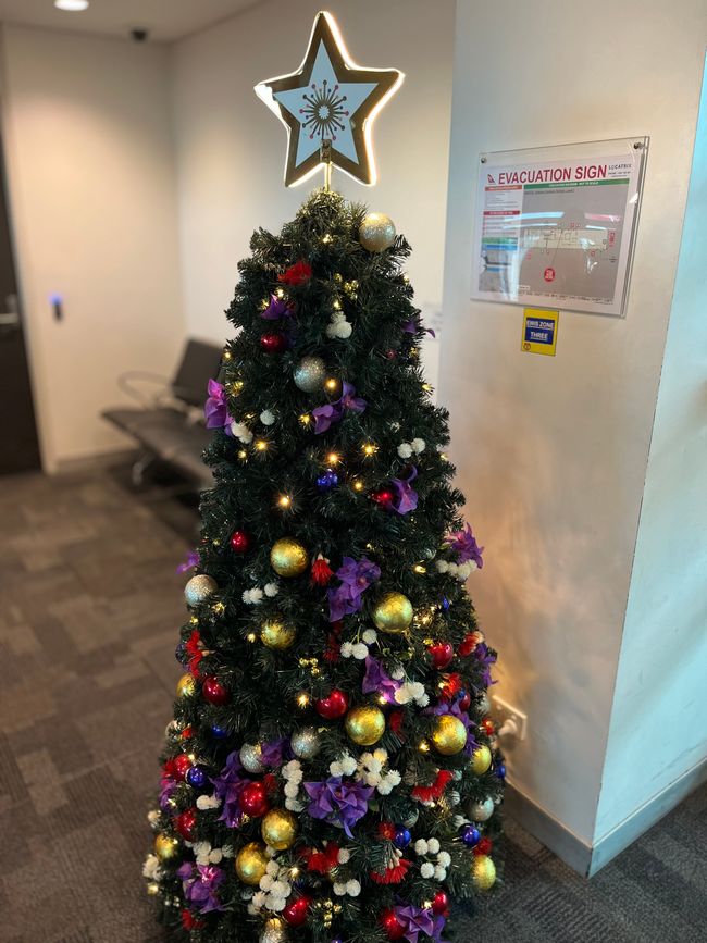 Weihnachten in Ausstralien 🇦🇺🦘