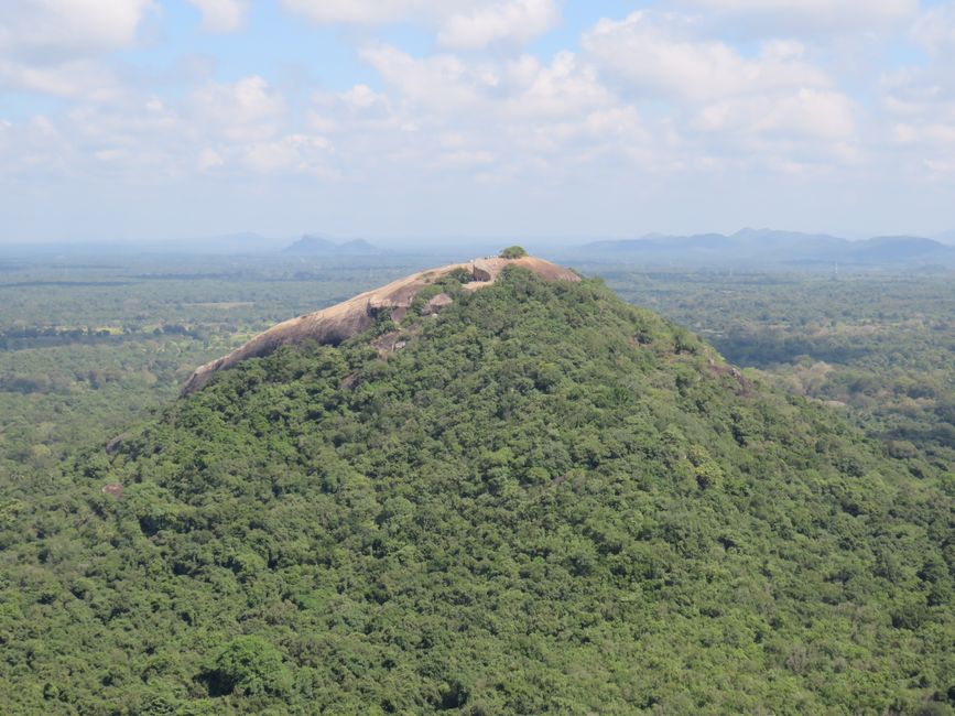 Sigiriya - Pidarungala Rock e Lions Rock