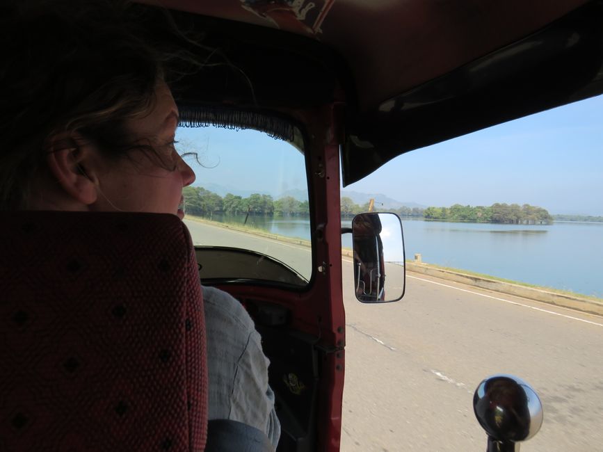 Udawalawa - Safari avec des éléphants