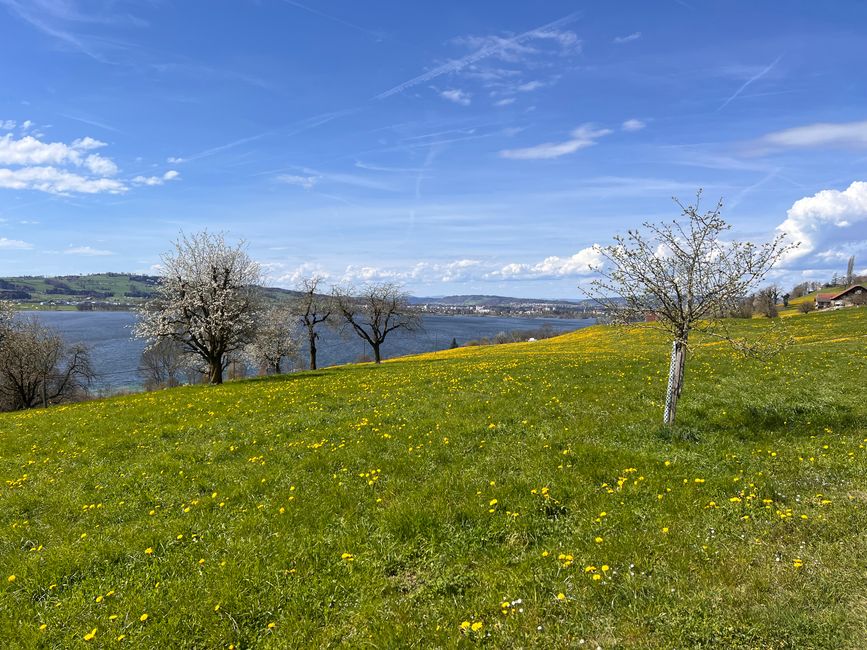 22‘222 Kilometer erreicht