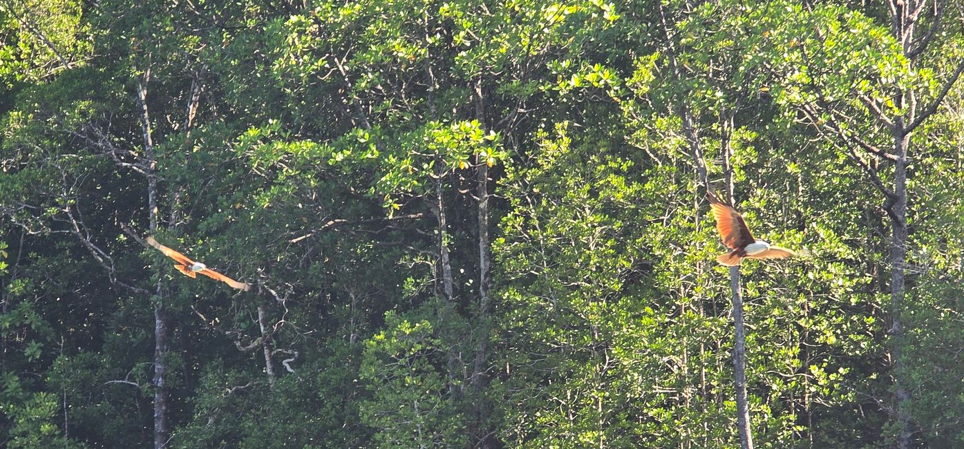 Langkawi - Reif für die Insel!