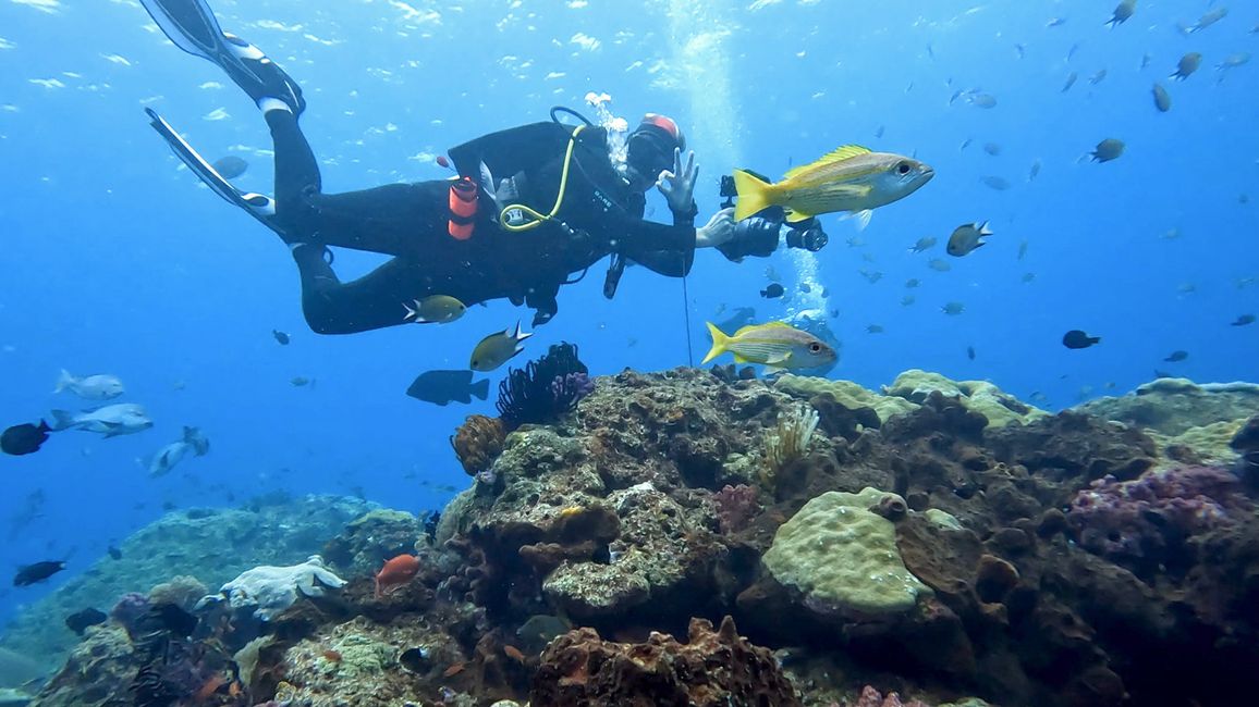 Travis auf Tauchsafari in Raja Ampat