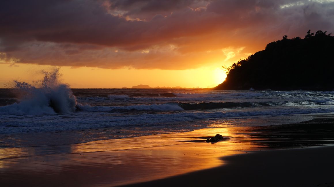 Whangamatā - Mount Paku - Hot Water Beach