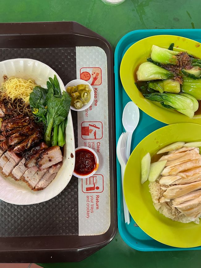 Chicken rice and noodles with duck