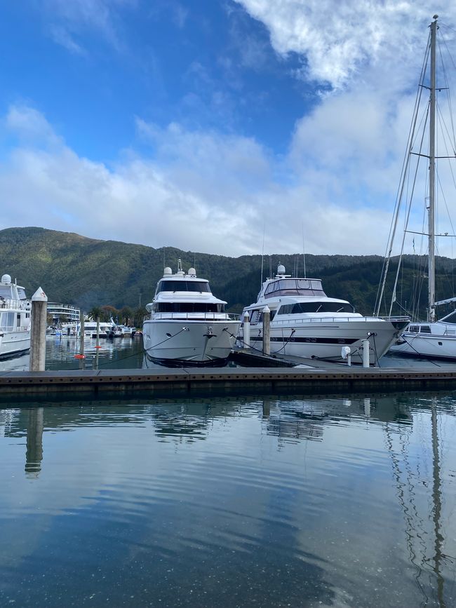 Off to the North Island